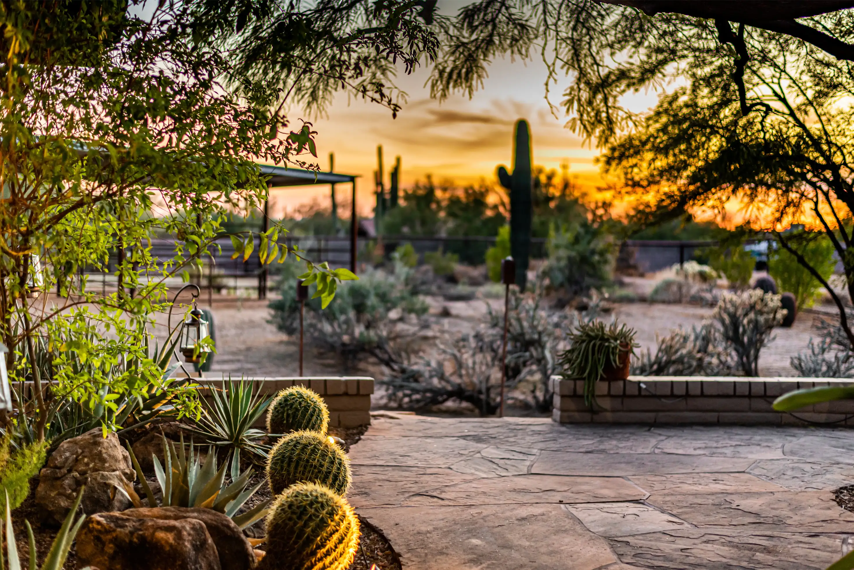 Tree and garden planting service